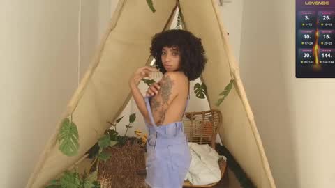 A R I   online show from January 2026 12:18:01 PM