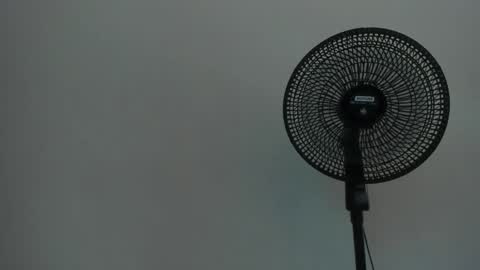 Ariel  online show from December 2024 07:30:01 AM