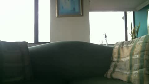 Snapshot of arielsinho chatting on March 2025 09:54:02 PM Anon online show from March 2025 09:54:02 PM