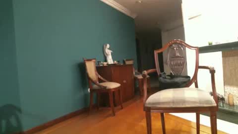 Snapshot of arielsinho chatting on November 2025 12:00:01 AM Anon online show from November 2025 12:00:01 AM