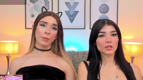 Snapshot of arivega chatting on December 2024 10:10:02 AM Nice to meet you thumb up me please its important I LOOK MY BIO DOWN online show from December 2024 10:10:02 AM