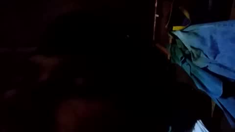 arvy95198 online show from October 2025 11:15:01 PM