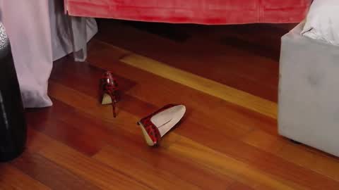 Snapshot of aryaeve chatting on September 2025 05:34:02 AM Aryana online show from September 2025 05:34:02 AM