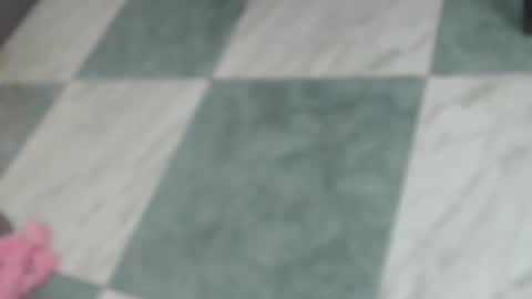 Snapshot of ashleey_thompson chatting on February 2025 11:04:01 PM ashleey_thompson online show from February 2025 11:04:01 PM