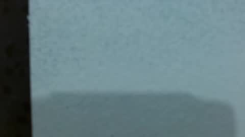  Ashley online show from March 2026 03:25:02 AM