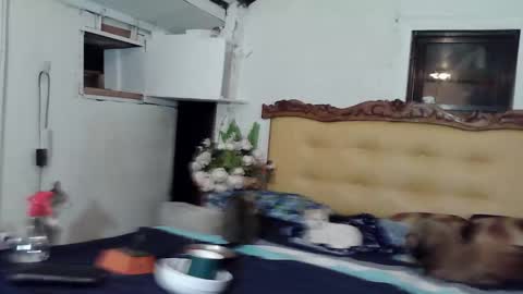 asianladyboy888 online show from February 2026 04:05:02 PM