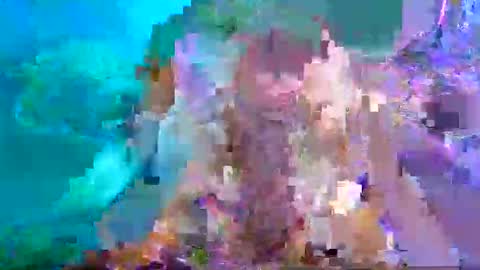 Snapshot of aspyporn chatting on January 2025 10:46:02 PM Aspy online show from January 2025 10:46:02 PM