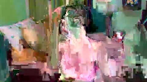 asuntapony online show from September 2025 03:06:02 AM