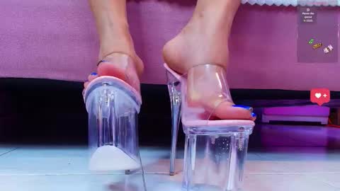 Aurora online show from January 2026 01:37:02 PM