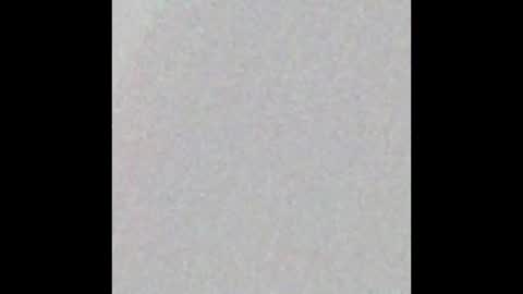 Snapshot of auspciouscharm chatting on December 2024 08:06:02 PM K E L L Y online show from December 2024 08:06:02 PM