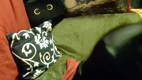 raven blue online show from February 2025 02:46:01 PM