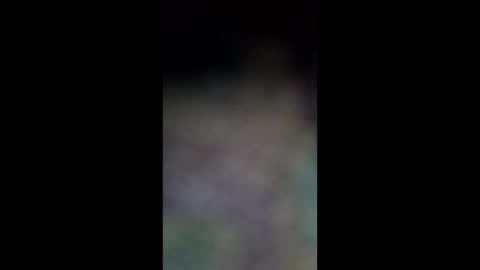 averagejoey89 online show from May 2026 06:31:02 AM