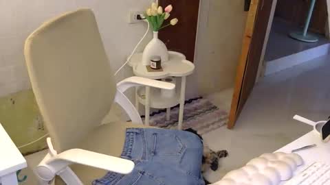 Rhian online show from November 2025 03:05:02 AM