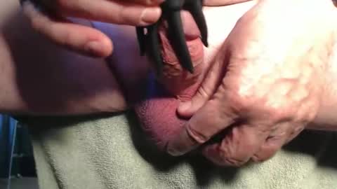 avi8r online show from February 2026 10:42:01 PM