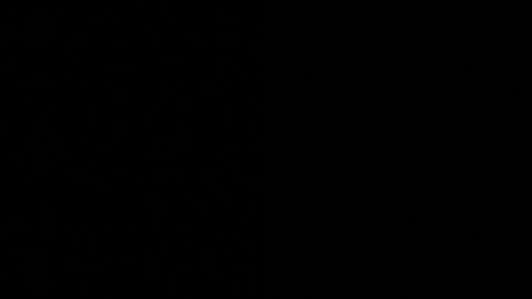 Axell Cross2 online show from November 2025 09:52:02 AM