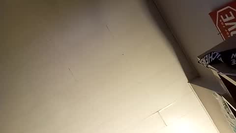 Snapshot of axion13 chatting on January 2025 07:54:01 AM axion13 online show from January 2025 07:54:01 AM