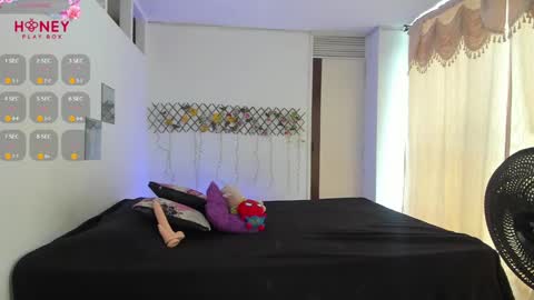     online show from February 2025 04:16:02 PM