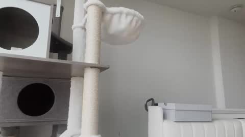 DADDY online show from January 2026 11:01:02 AM