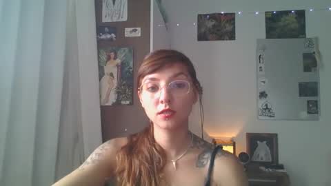 Snapshot of babydemon6 chatting on December 2024 05:54:02 PM babydemon6 online show from December 2024 05:54:02 PM