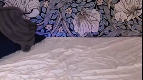 Snapshot of backtatava chatting on September 2025 01:21:01 AM Ava online show from September 2025 01:21:01 AM