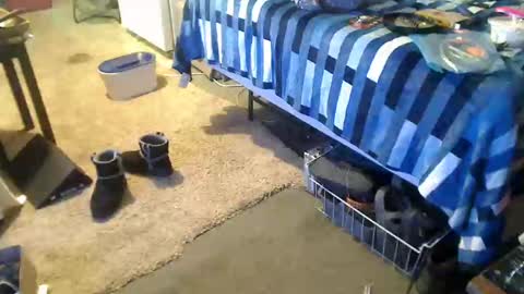 StillPoPimpin online show from December 2024 04:36:02 AM