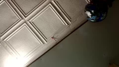 StillPoPimpin online show from January 2025 10:06:02 AM