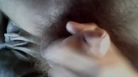 Baghira online show from September 2025 08:30:02 AM