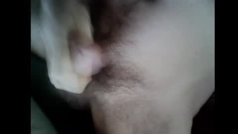 Baghira online show from December 2025 10:42:01 AM