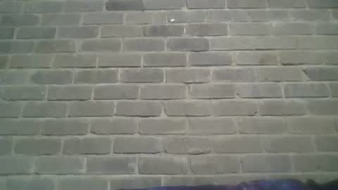 Chaterlain online show from January 2025 02:41:01 PM