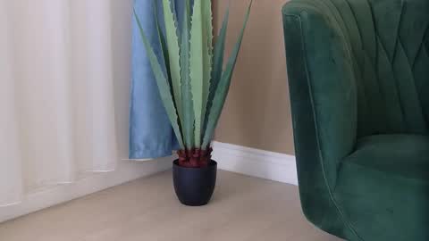 bailey_rush online show from December 2025 04:49:02 PM