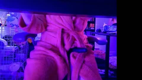 Bailey  online show from April 2026 02:16:01 AM