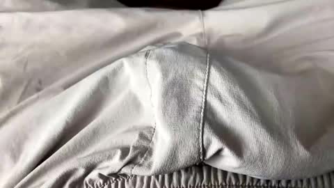 ballafau1213 online show from February 2026 07:10:01 PM