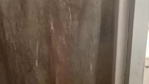 ballshanginglowaf online show from September 2025 11:59:02 AM