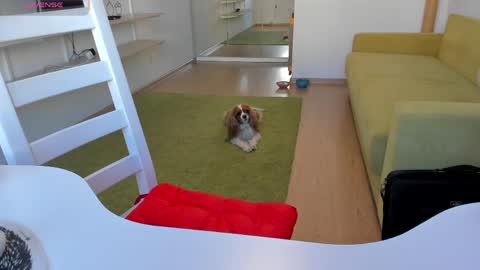 Kira online show from March 2026 12:21:02 PM