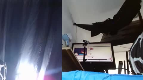 bambam online show from November 2025 04:18:02 PM