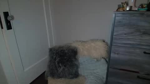 Snapshot of bambidear420 chatting on March 2025 05:12:01 AM Bambi online show from March 2025 05:12:01 AM