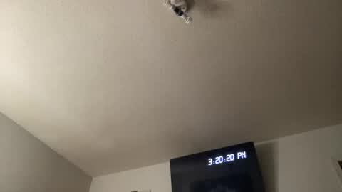 Chelly online show from March 2026 07:20:02 PM