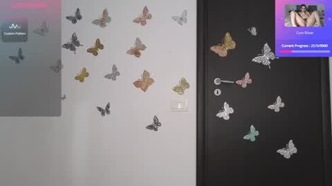 Snapshot of barbara_smith chatting on January 2025 09:19:02 AM Barb online show from January 2025 09:19:02 AM