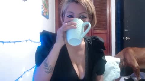 barbiemature online show from May 2026 09:06:01 AM
