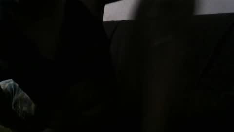 Snapshot of barcadi_luiz chatting on March 2025 12:11:02 PM barcadi luiz online show from March 2025 12:11:02 PM