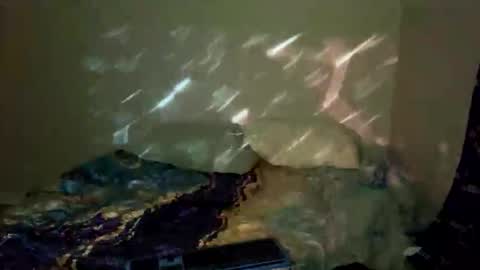 Snapshot of bathtimeboii chatting on January 2026 04:06:02 AM bathtimeboii online show from January 2026 04:06:02 AM