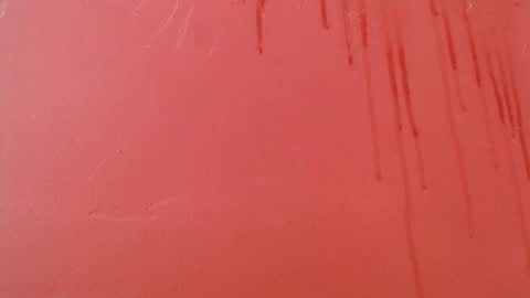 bayonette_black online show from November 2025 09:13:02 PM