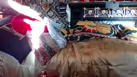 Bazza online show from November 2025 07:32:01 AM