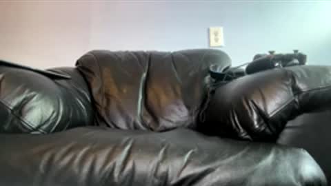 bbcnews94 online show from April 2026 07:03:01 PM