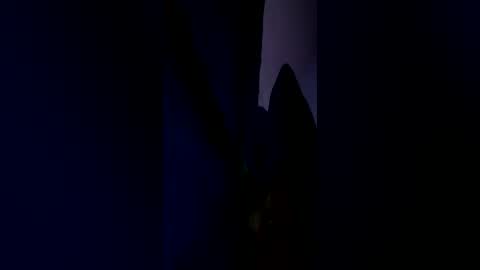 bbcnews94 online show from June 2026 03:42:01 AM