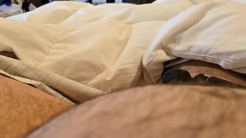 bbjj1970 online show from November 2025 12:19:02 PM