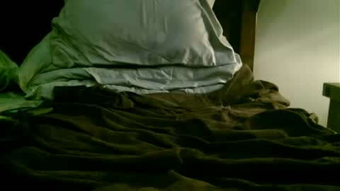 beagle1 online show from December 2024 01:21:01 PM