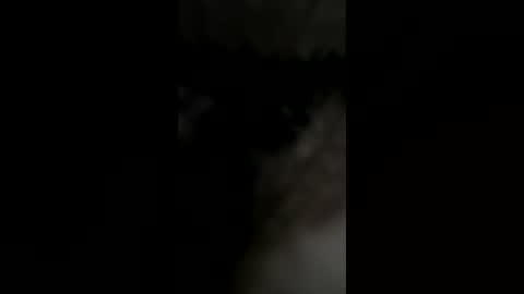 beardfacekilla online show from July 2026 08:41:02 PM