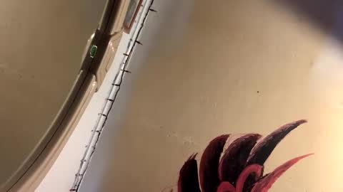 Snapshot of beathismeat99 chatting on April 2026 09:56:01 PM Mikes room online show from April 2026 09:56:01 PM