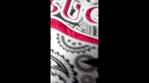 bebyhardsex online show from March 2026 02:09:02 PM